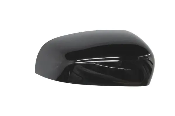 Kotflügel vorne rechts BLIC 6504-04-2009314P