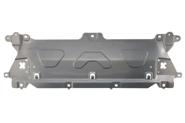 Zier-/Schutzleiste, Stoßfänger oben vorne BLIC 6502-03-0097201P