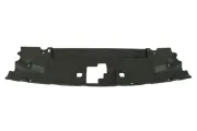 Frontverkleidung oben vorne BLIC 6502-03-2589209P