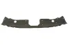 Frontverkleidung oben BLIC 6502-03-3496209P