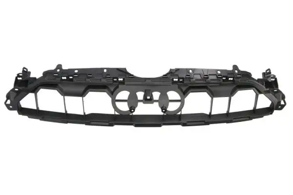 Zier-/Schutzleiste, Kühlergitter BLIC 6502-07-0038989P