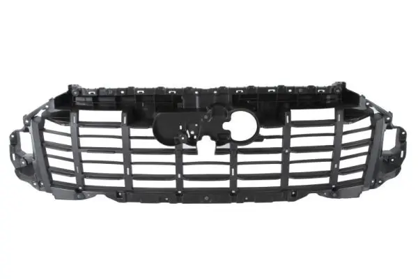 Zier-/Schutzleiste, Kühlergitter BLIC 6502-07-0052993P