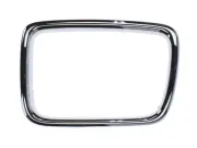 Zier-/Schutzleiste, Kühlergitter vorne links BLIC 6502-07-0057997P