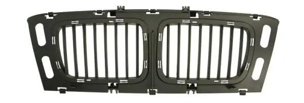 Kühlergitter Mitte BLIC 6502-07-0057999P