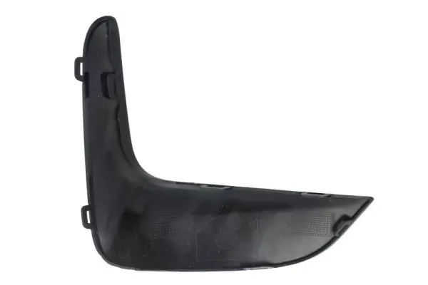 Einstiegsblech links BLIC 6505-06-0054001P