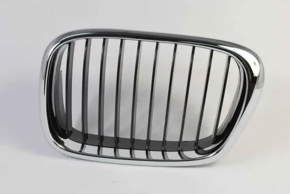 Kühlergitter vorne links BLIC 6502-07-00659911P