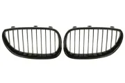 Kühlergitter vorne links vorne rechts BLIC 6502-07-0066992KP