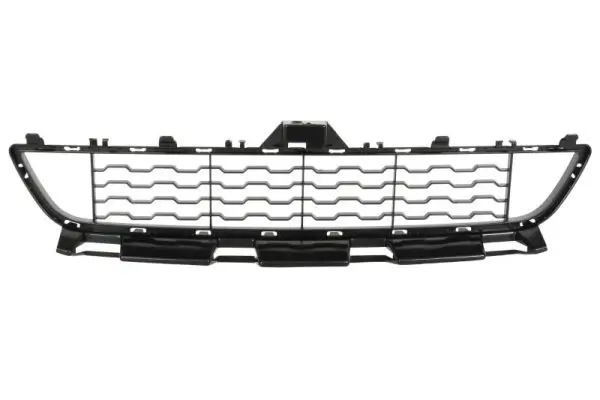 Lüftungsgitter, Stoßfänger Mitte BLIC 6502-07-0070910P