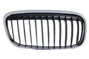 Kühlergitter vorne rechts BLIC 6502-07-0071996LP