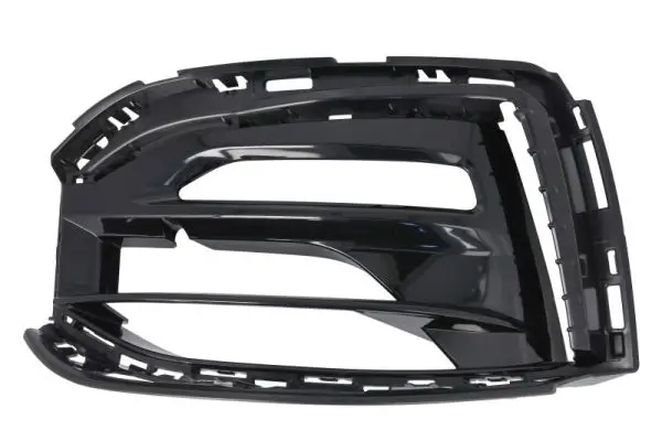 Einstiegsblech hinten links BLIC 6505-06-2509005K