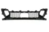 L&uuml;ftungsgitter, Sto&szlig;f&auml;nger vorne links Mitte BLIC 6502-07-0073930P
