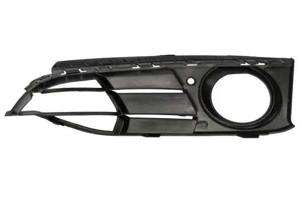 Einstiegsblech rechts BLIC 6505-06-2530012P