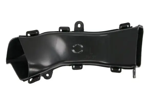 Einstiegsblech rechts BLIC 6505-06-2550012P