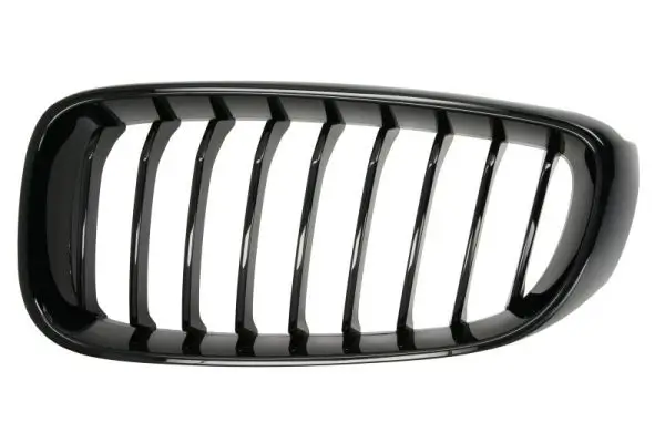 Kühlergitter vorne links BLIC 6502-07-0081995P