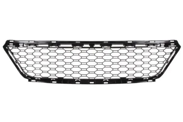 Einstiegsblech rechts BLIC 6505-06-2576012K