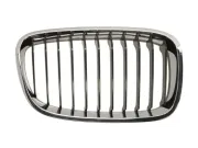 Kühlergitter rechts BLIC 6502-07-0086992P