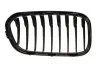 Kühlergitter vorne links BLIC 6502-07-0086997P Bild Kühlergitter vorne links BLIC 6502-07-0086997P