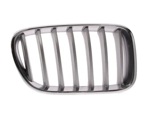 Kühlergitter rechts BLIC 6502-07-0093998P Bild Kühlergitter rechts BLIC 6502-07-0093998P