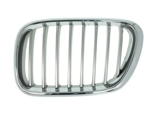 Kühlergitter vorne links BLIC 6502-07-0095991P