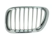 Kühlergitter vorne links BLIC 6502-07-0095991P