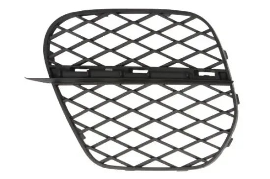 Lüftungsgitter, Stoßfänger vorne links BLIC 6502-07-0096925P Bild Lüftungsgitter, Stoßfänger vorne links BLIC 6502-07-0096925P