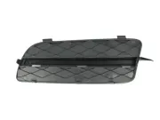 Lüftungsgitter, Stoßfänger vorne rechts BLIC 6502-07-0096996P