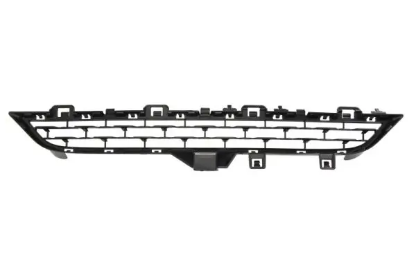 Lüftungsgitter, Stoßfänger vorne links Mitte oben BLIC 6502-07-0097919P