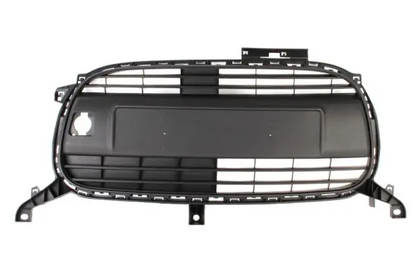 Kühlergitter BLIC 6502-07-0501991Q