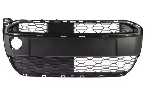 Lüftungsgitter, Stoßfänger Mitte BLIC 6502-07-0502910P