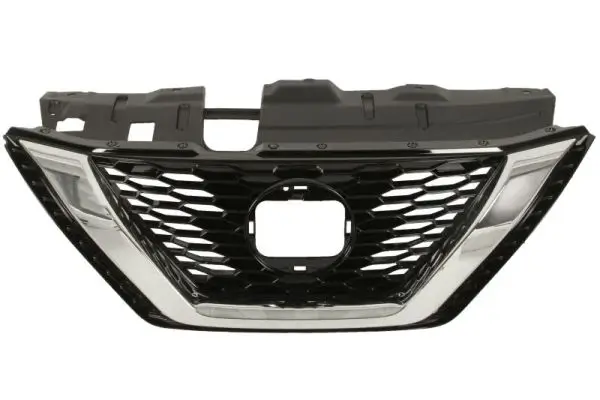 Kühlergitter BLIC 6502-07-1617996P