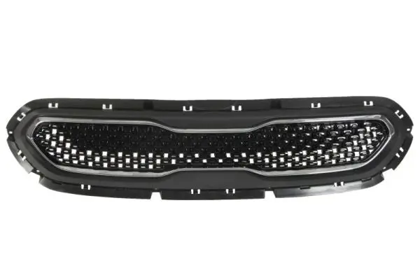 Kühlergitter BLIC 6502-07-1618990P