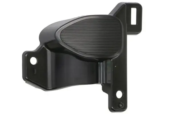 Kappe, Nebelscheinwerfer vorne links BLIC 6502-07-1684911P