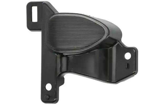 Kappe, Nebelscheinwerfer vorne links vorne rechts BLIC 6502-07-1684912P