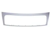 Zier-/Schutzleiste, Kühlergitter BLIC 6502-07-2035991Q