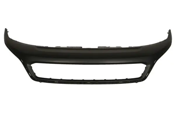 Zier-/Schutzleiste, Kühlergitter vorne BLIC 6502-07-2053990P