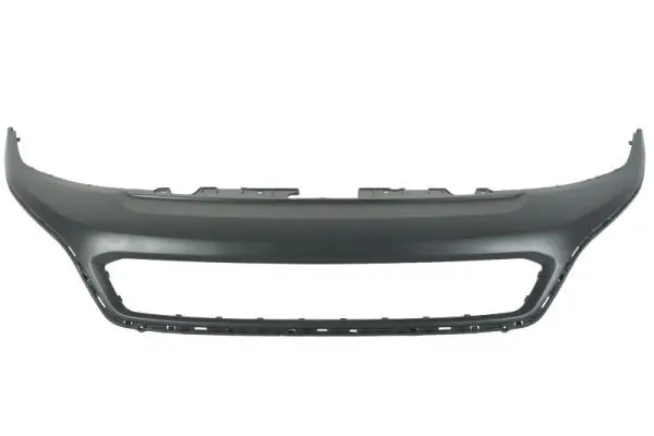 Zier-/Schutzleiste, Kühlergitter vorne BLIC 6502-07-2053991P