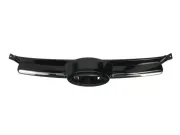 Kühlergitter BLIC 6502-07-2536990P