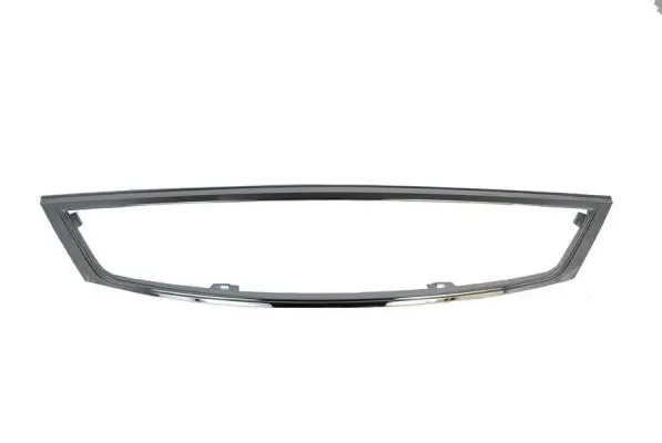 Zier-/Schutzleiste, Kühlergitter BLIC 6502-07-2555996Q