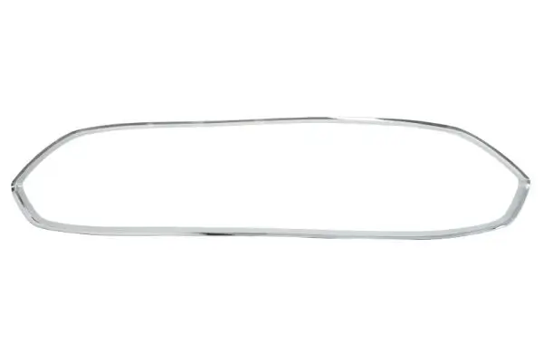 Zier-/Schutzleiste, Kühlergitter BLIC 6502-07-2558991P