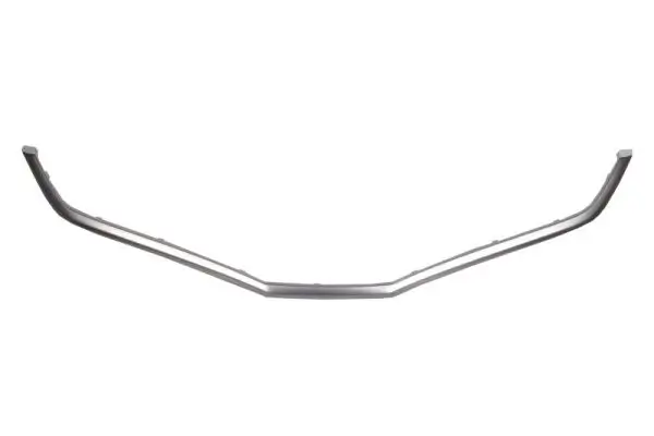 Zier-/Schutzleiste, Kühlergitter BLIC 6502-07-2901994P