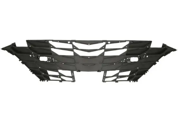 Kühlergitter BLIC 6502-07-3174991P