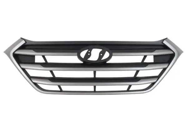 Kühlergitter BLIC 6502-07-3177995P