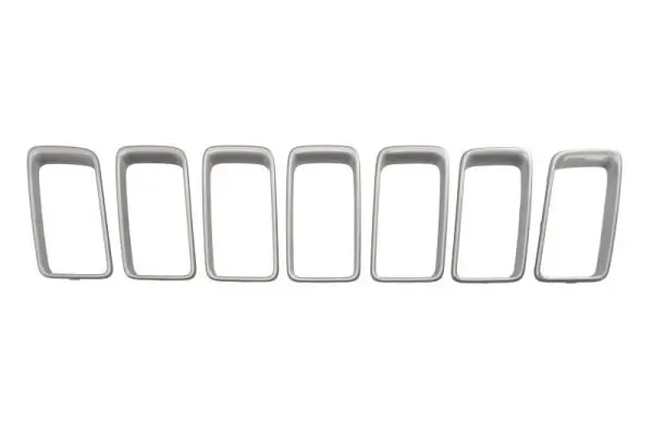 Kühlergitter BLIC 6502-07-3206998PK