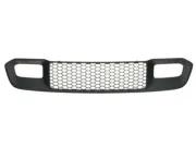 Lüftungsgitter, Stoßfänger vorne links BLIC 6502-07-3207914P