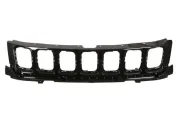 Kühlergitter BLIC 6502-07-3217993P