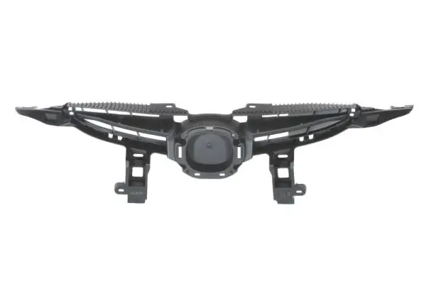 Kühlergitter BLIC 6502-07-3421991P