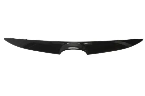 Zier-/Schutzleiste, Kühlergitter oben BLIC 6502-07-3495991P