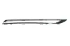 Zier-/Schutzleiste, Kühlergitter BLIC 6502-07-3536991P Bild Zier-/Schutzleiste, Kühlergitter BLIC 6502-07-3536991P