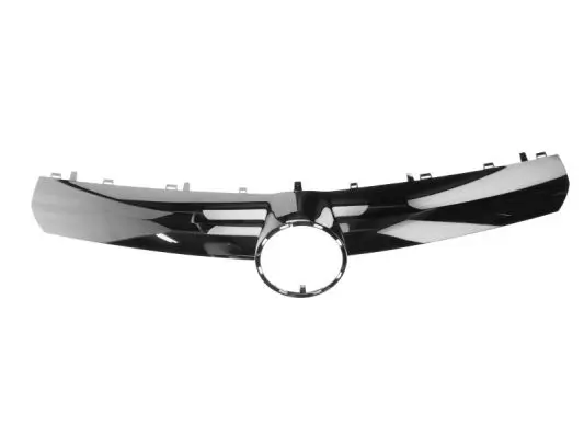 Zier-/Schutzleiste, Kühlergitter oben BLIC 6502-07-5063991P