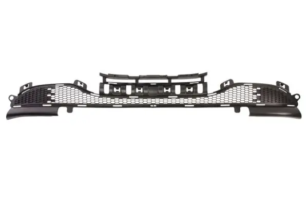 Lüftungsgitter, Stoßfänger vorne BLIC 6502-07-5509996P